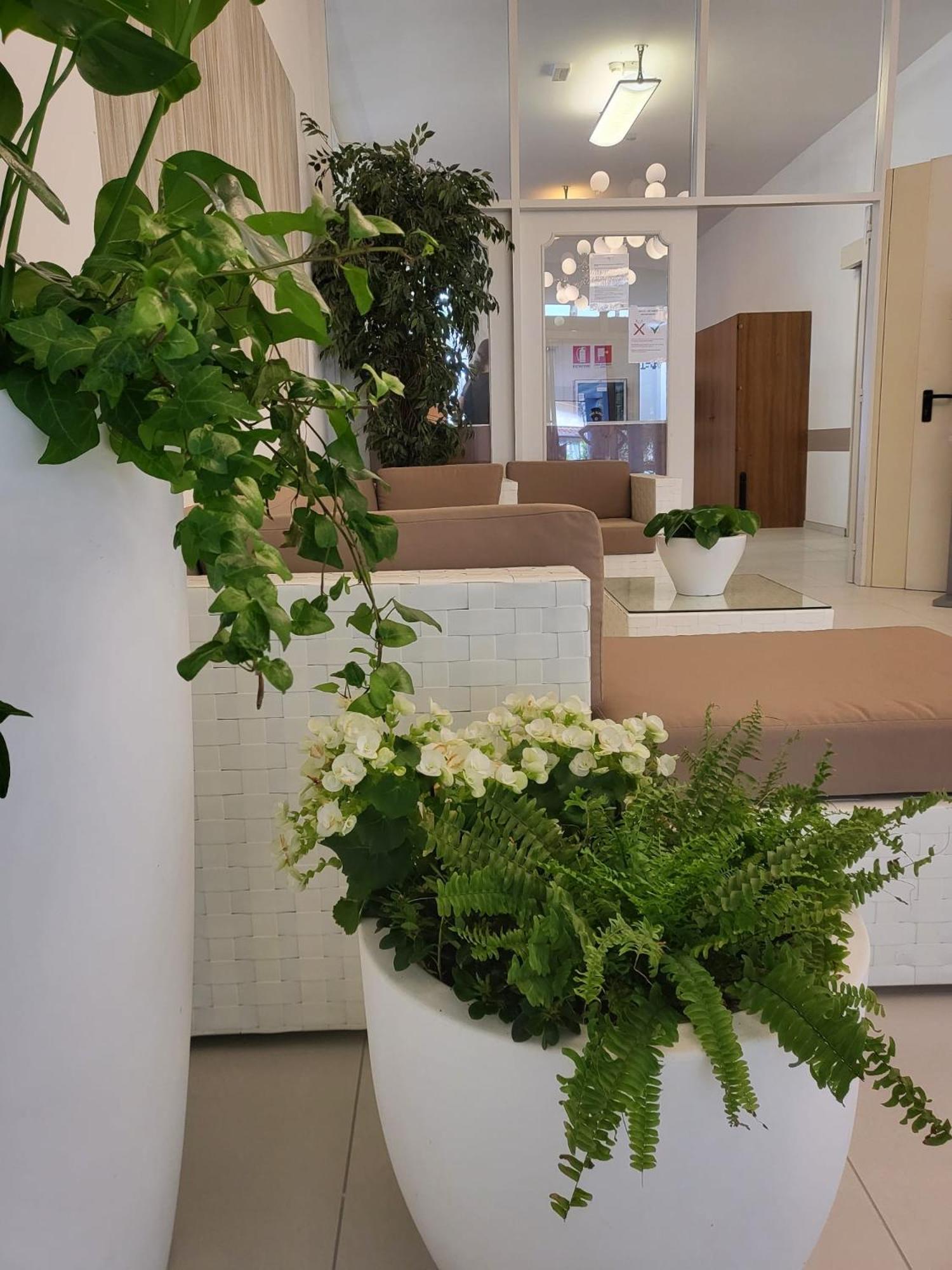 Hotel Olympia 리그나노 사비아도로 외부 사진