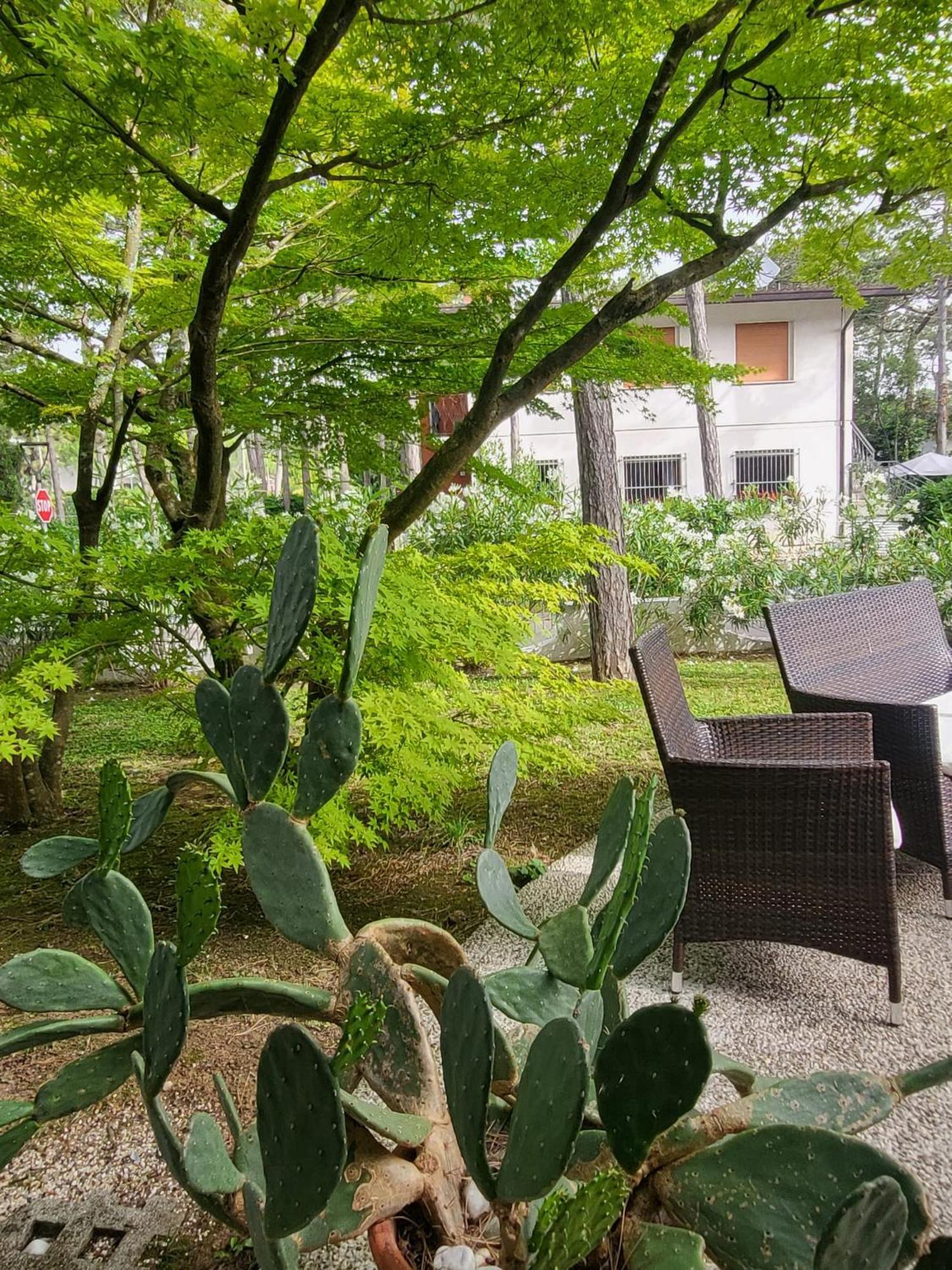 Hotel Olympia 리그나노 사비아도로 외부 사진